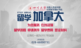 本科留學(xué)必讀 成都出國留學(xué)中介排名與成功條件全解析